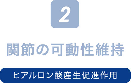 2.関節の可動性維持（ヒアルロン酸産生促進作用）